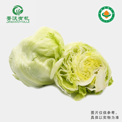 菁沃有机结球生菜300g 商品图0