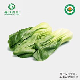 菁沃有机大青菜300g