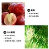 【已下架】国庆双倍乐 | 中科和素 芯旨清/清旨素 红曲竹叶黄酮压片糖果60粒/瓶*4瓶（赠芯旨清1瓶）[D类] 商品缩略图5
