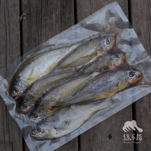 野生小黄鱼 | 合作生产*Wild little yellow croaker | Coprodution 商品图5
