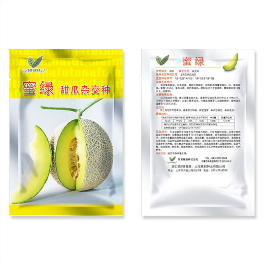 [专业种子] “蜜绿”网纹甜瓜种子 商品图1