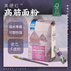 新良.大师系列美硬红高筋面粉1kg