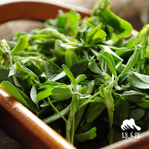 生态苜蓿菜 | 合作生产* Eco-clover | Coproduction 商品图1