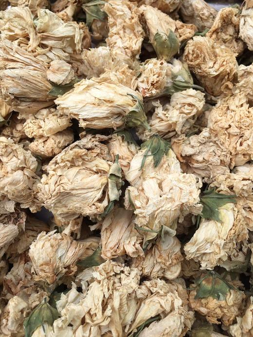 木槿花    白槿花 商品图2