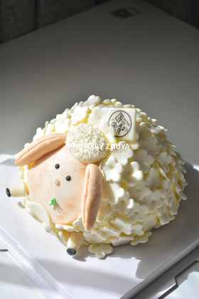 白羊座♈（提前1天预约）