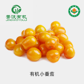 【下单后2-3天发货】菁沃有机黄小番茄300g