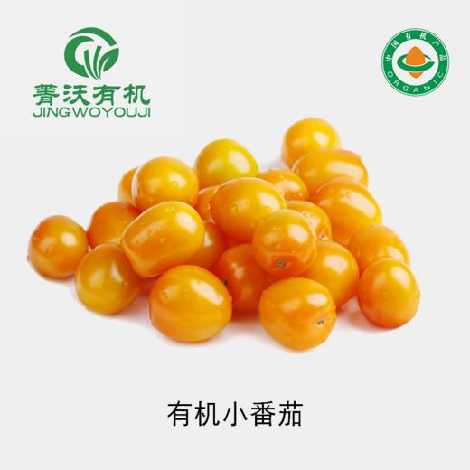 【下单后2-3天发货】菁沃有机黄小番茄300g 商品图0