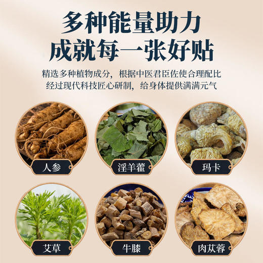 【买3发5】同仁堂强腰益肾贴 一盒5贴，一日一次为青春续航 商品图3