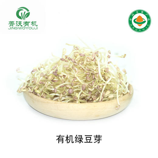 菁沃有机绿豆芽300g 商品图0