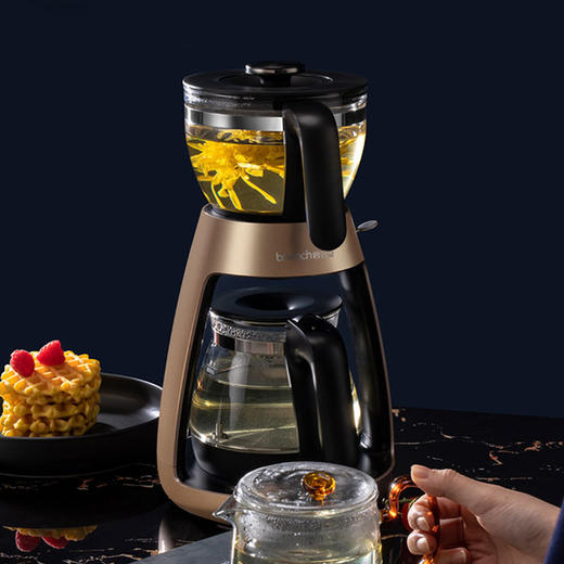 碧云泉bewinch 茶艺机HT701 商品图4