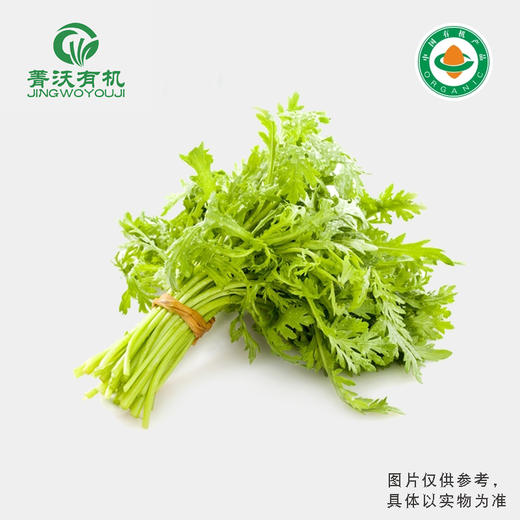 菁沃有机茼蒿300g 商品图0