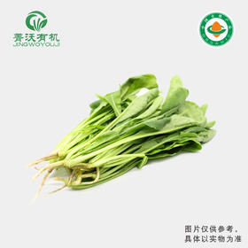 菁沃有机萝卜菜300g