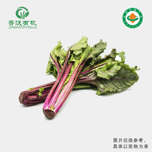 菁沃有机甜菜叶300g 商品图0