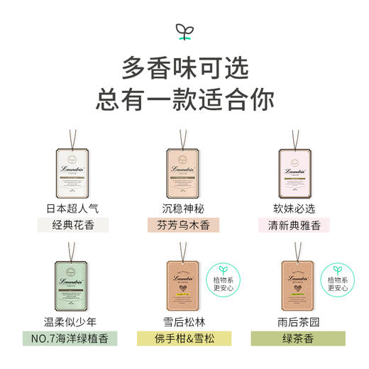 朗德林香薰片1片装 商品图2