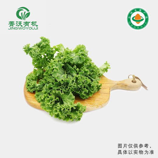 菁沃有机羽衣甘蓝300g 商品图0