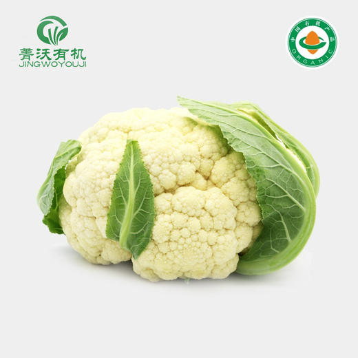 【下单后2-3天发货】菁沃有机白花菜300g 商品图0