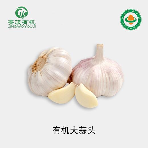 菁沃有机大蒜头300g 商品图0