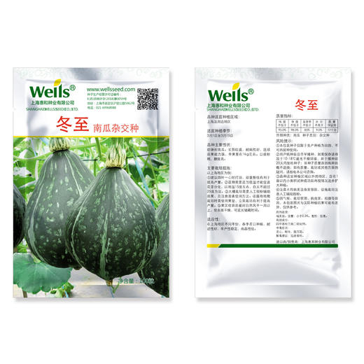 [专业种子] “冬至”南瓜种子  商品图1