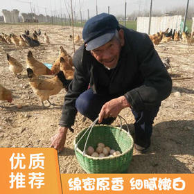 【助农公益】200多位空巢老人农家散养土鸡蛋，无饲料添加剂，小时候的味道，健康又营养