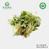 菁沃有机马齿苋300g 商品缩略图0