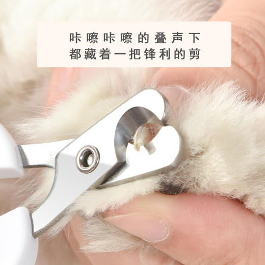 派可为宠物指甲剪幼猫幼犬泰迪猫爪直头弯头指甲钳 商品图2