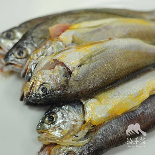 野生小黄鱼 | 合作生产*Wild little yellow croaker | Coprodution 商品图0