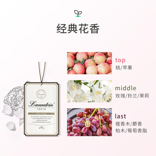 朗德林香薰片1片装 商品图4