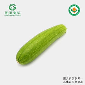 菁沃有机西葫芦300g