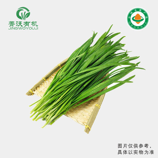 【下单后2-3天发货】【下单后2-3天发货】菁沃有机韭菜300g 商品图0