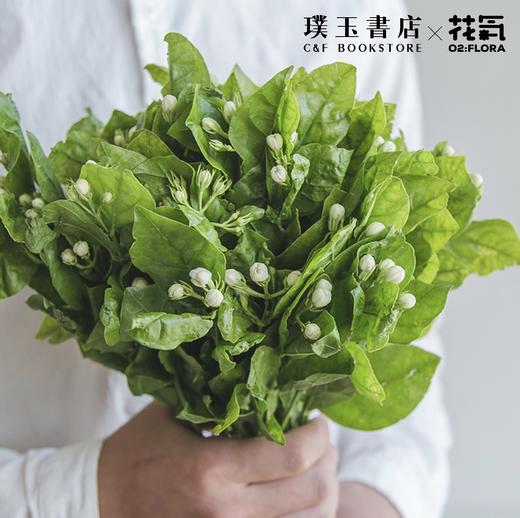 茉莉花 商品图1