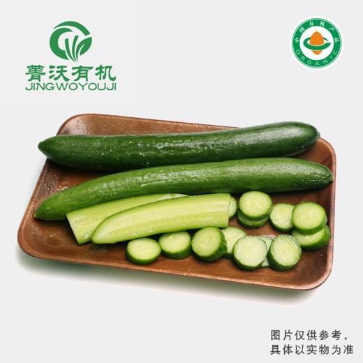 菁沃有机水果黄瓜300g 商品图0