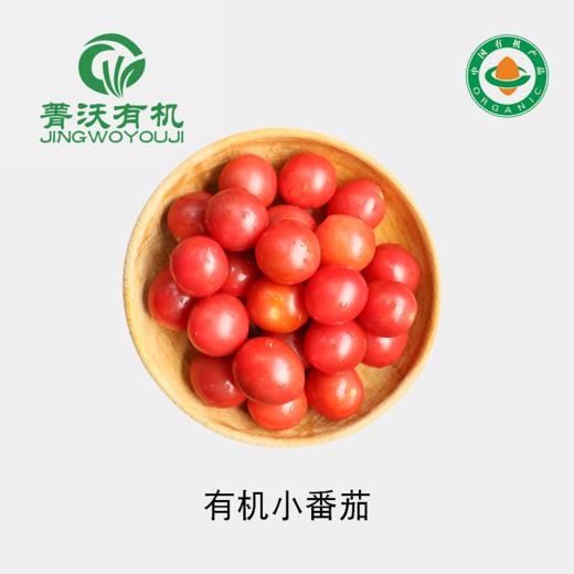 菁沃有机红小番茄300g 商品图0