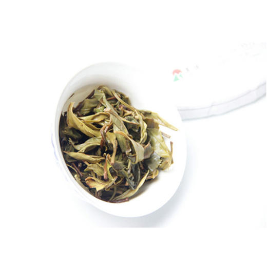 【纯净免洗茶】茂连 知己 兰花香 古树茶 普洱生茶8612 357g/饼 商品图5