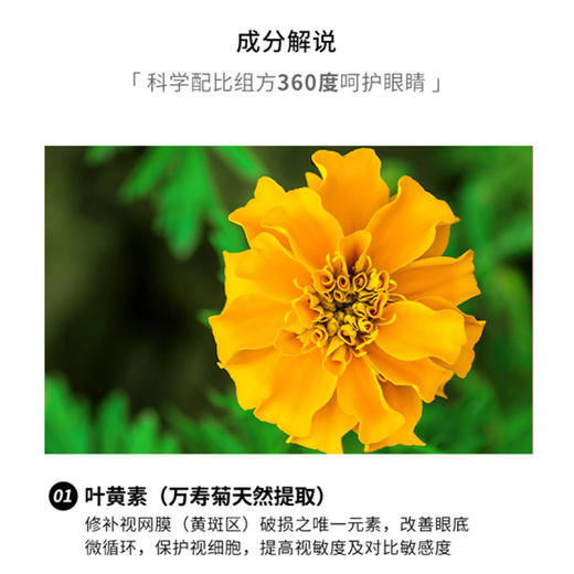 已下架 | 【中科和素】好研力™叶黄素蓝莓压片糖果24g*4袋装（赠酐益清*1）[B类] 商品图5