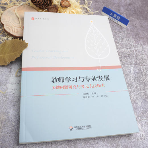 教师学习与专业发展：关键问题研究与多元实践探索 大夏书系 师资培养 教师读物 何劲松 教育理论 商品图1