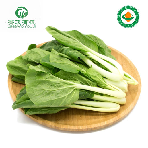 菁沃有机黑叶白菜300g 商品图0
