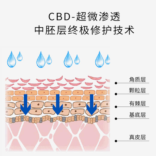 协和生物 舒缓保湿营养液滋润补水重建肌肤屏障30ml[D类] 商品图3