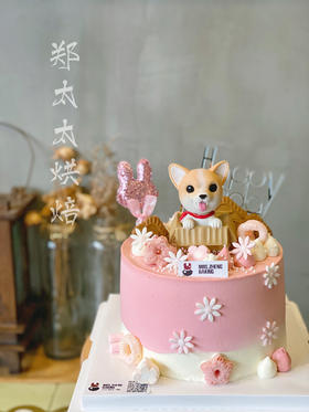 家有汪星人加高款