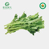 菁沃有机羽衣甘蓝苗300g 商品缩略图0