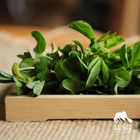 生态苜蓿菜 | 合作生产* Eco-clover | Coproduction