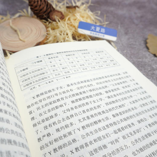 教师学习与专业发展：关键问题研究与多元实践探索 大夏书系 师资培养 教师读物 何劲松 教育理论 商品图3