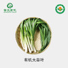 【下单后2-3天发货】菁沃有机大蒜叶300g 商品缩略图0