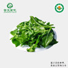 【下单后2-3天发货】菁沃有机田七菜300g 商品缩略图0