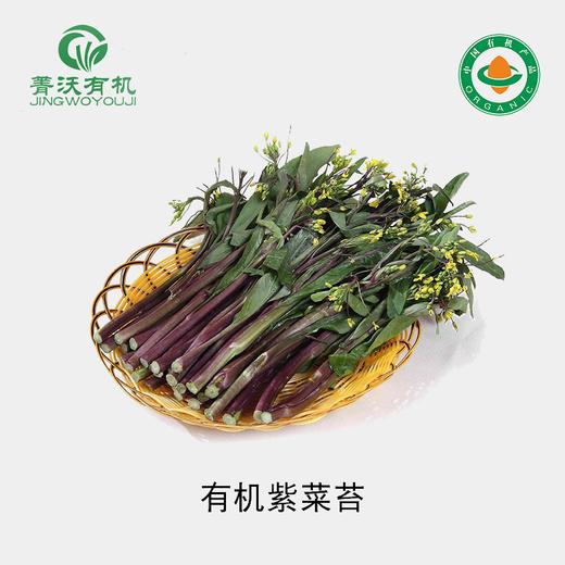菁沃有机紫菜苔300g 商品图0