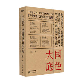 大国底色 巨变时代的基层治理 吕德文 著 党政书籍