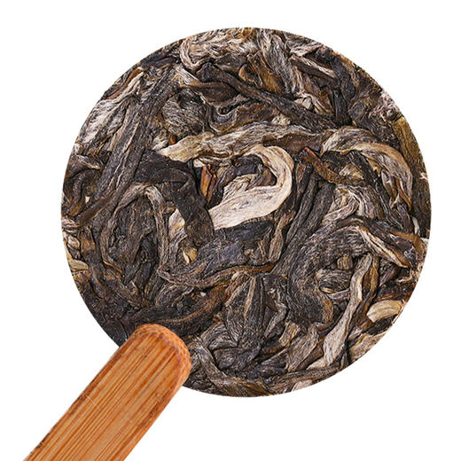 茂连普洱茶 迷你七子饼茶 勐库古树生茶冰岛乔木老树茶 8651 商品图2