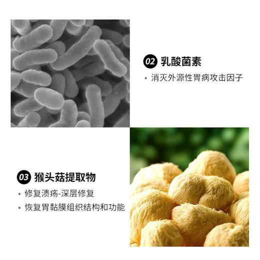 已下架【中科和素】菋葆宁™猴头菇沙棘压片糖果0.8g*60粒[A类] 商品图6