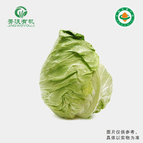 菁沃有机牛心菜300g