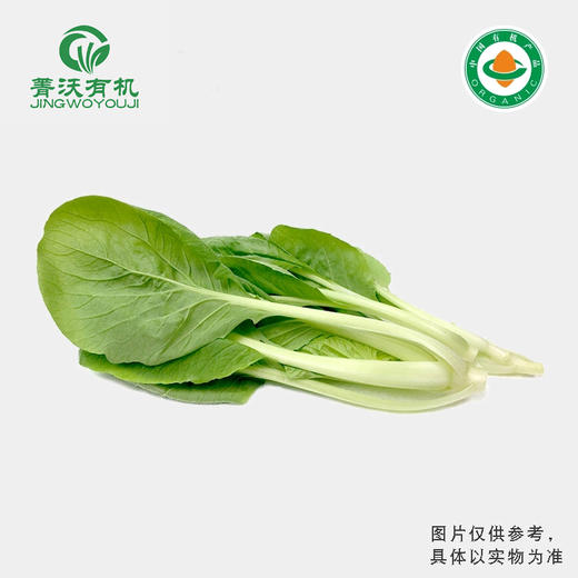 菁沃有机小白菜300g 商品图0