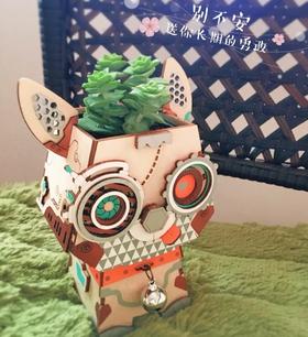 如果不想说话，那就安心种花吧。